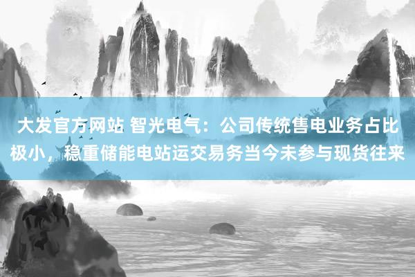 大发官方网站 智光电气：公司传统售电业务占比极小，稳重储能电站运交易务当今未参与现货往来