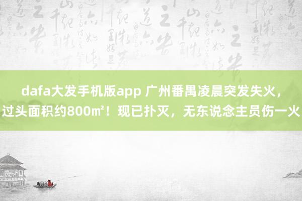 dafa大发手机版app 广州番禺凌晨突发失火，过头面积约800㎡！现已扑灭，无东说念主员伤一火